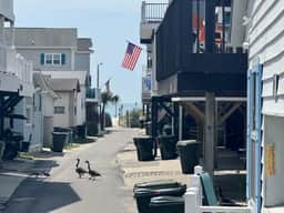 Pet-Friendly Ocean Lakes Cottage | Steps to Beach | Golf Cart | Sleeps 6 - Image 2