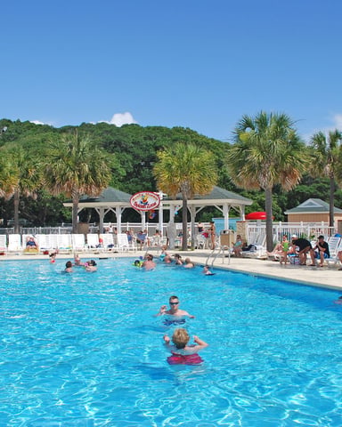 Sandy Harbor pool at Ocean Lakes with palm trees and lounge chairs