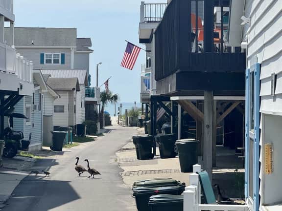Pet-Friendly Ocean Lakes Cottage | Steps to Beach | Golf Cart | Sleeps 6 - Image 2