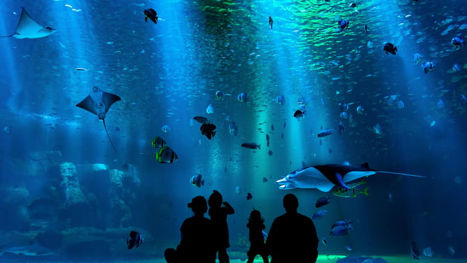 Ripley's Aquarium of Myrtle Beach