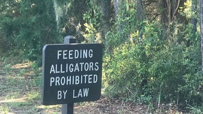 Huntington Beach State Park