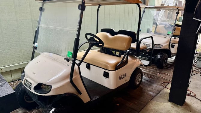 2 Complimentary Golf Carts